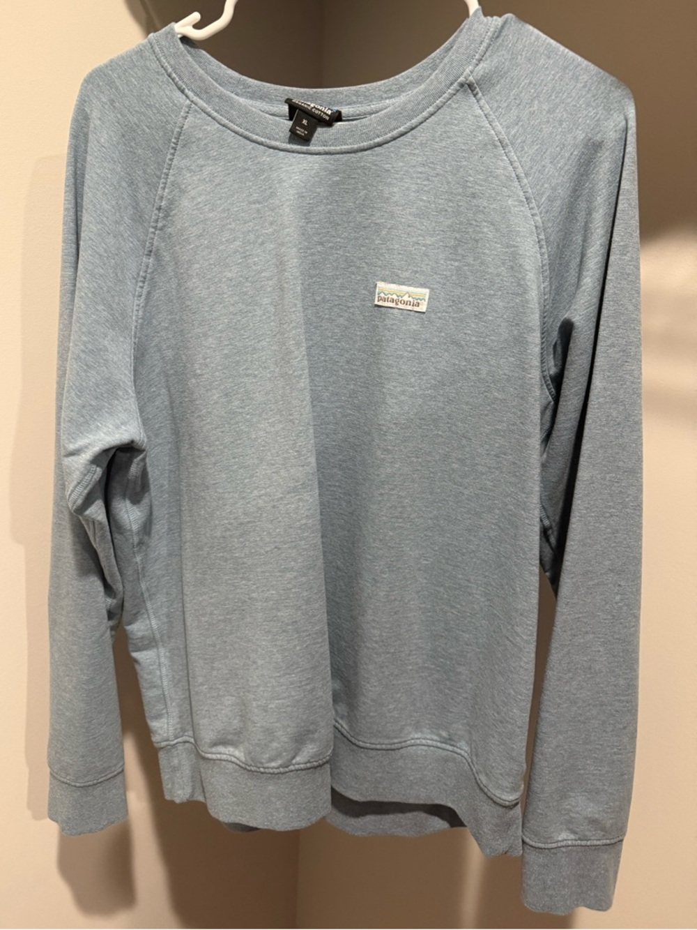 Patagonia Heather Sky Blue Crewneck Sweatshirt